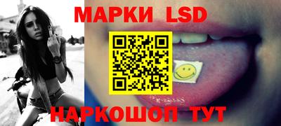 spice Новодвинск