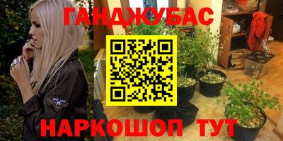 дмт Новокубанск