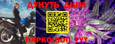 spice Новодвинск