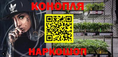 дмт Новокубанск