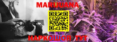 spice Новодвинск