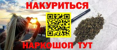 spice Новодвинск