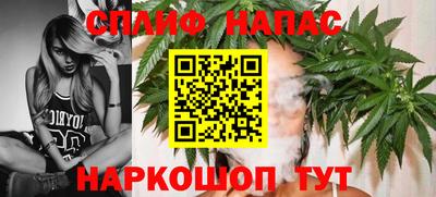 spice Новодвинск