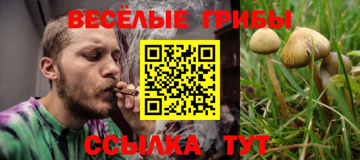 купить наркотик  Вход с VPN  Тихвин  Галлюциногенные грибы мицелий 