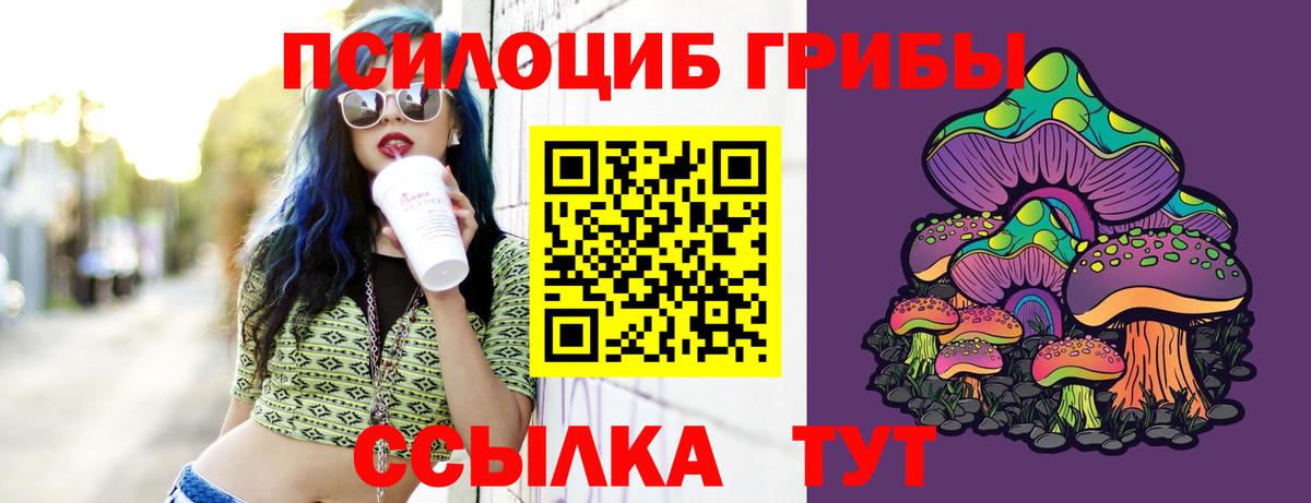 Псилоцибиновые грибы прущие грибы Тихвин
